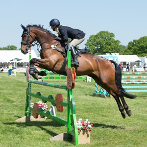 Show Jumping Photography